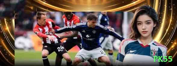 pk55 - VIP Plus Screenshot 1